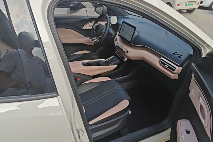 Used BYD Seagull 2023 Flying Edition Right Front Seat