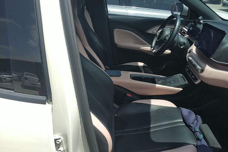 Used BYD Seagull 2023 Flying Edition Right Front Seat