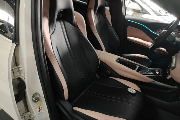 Used BYD Seagull 2023 Flying Edition Right Front Seat