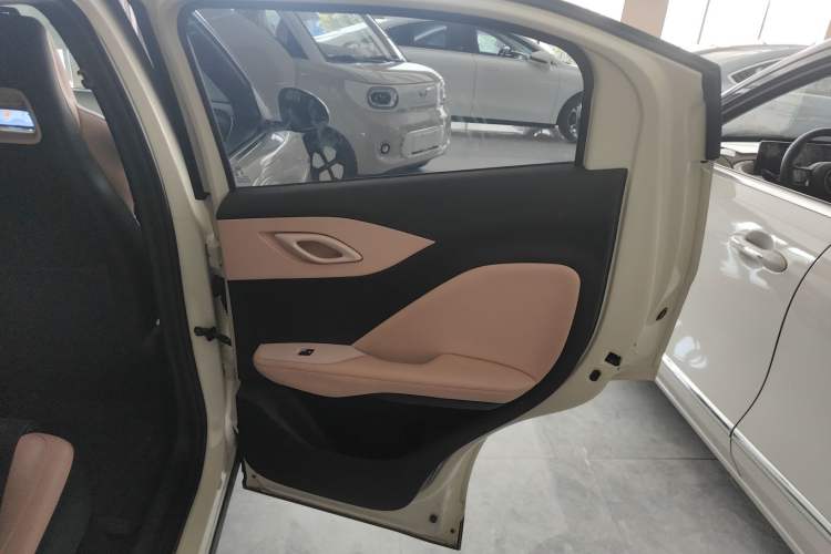 Used BYD Seagull 2023 Free Edition Right Rear Door Interior
