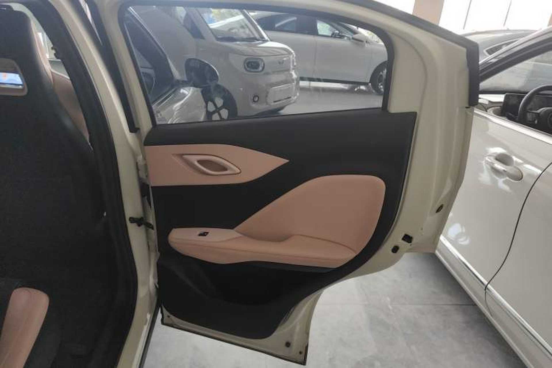 Used BYD Seagull 2023 Free Edition Right Rear Door Interior