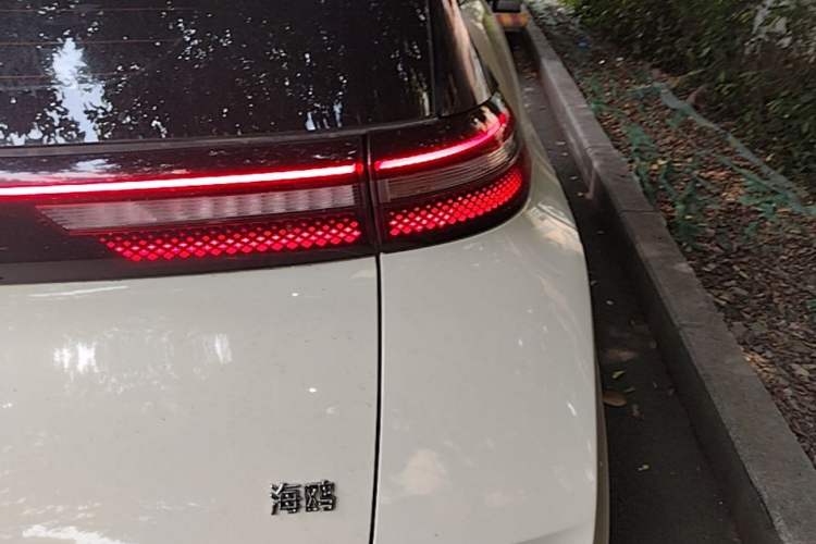 Used BYD Seagull 2023 Flying Edition Right Rear Taillight