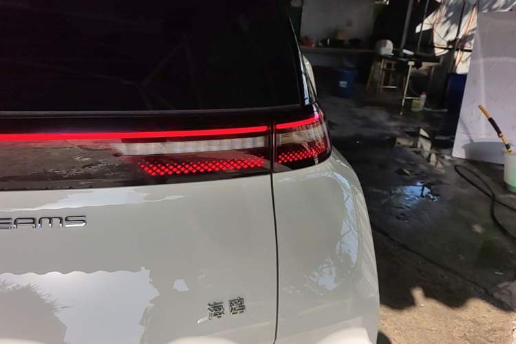 Used BYD Seagull 2023 Free Edition Right Rear Taillight