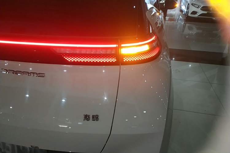 Used BYD Seagull 2023 Free Edition Right Rear Taillight