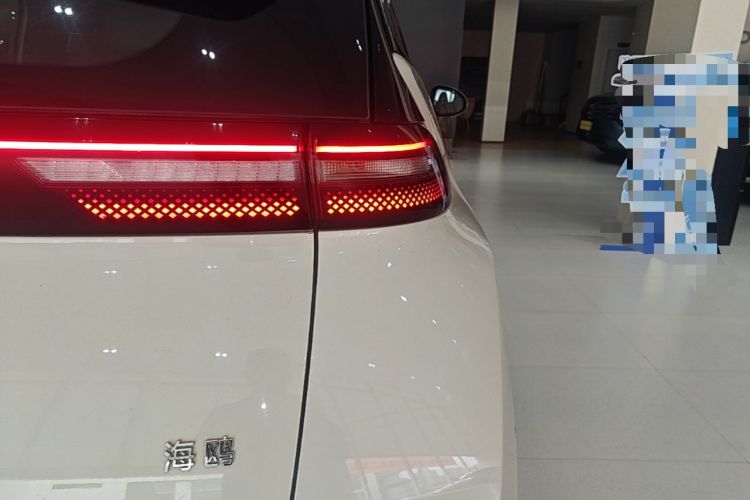 Used BYD Seagull 2023 Free Edition Right Rear Taillight
