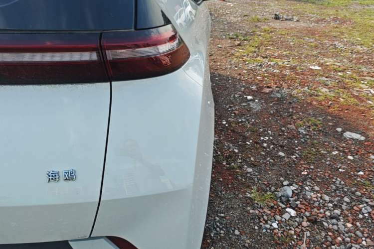 Used BYD Seagull 2023 Free Edition Right Rear Taillight