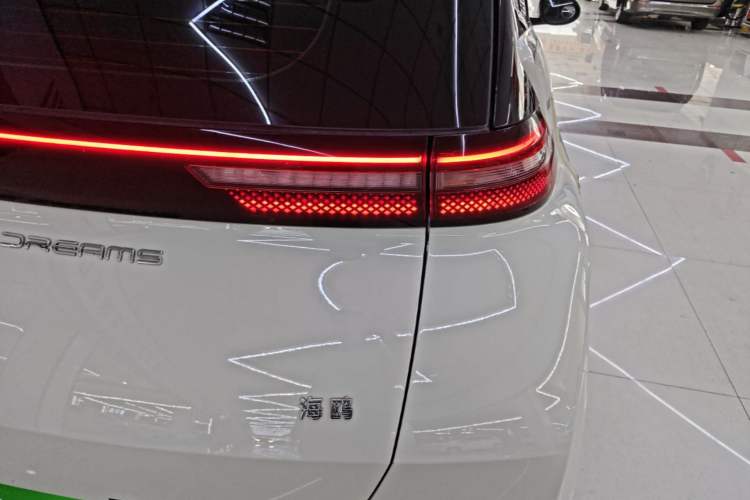 Used BYD Seagull 2023 Free Edition Right Rear Taillight