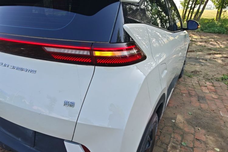 Used BYD Seagull 2023 Free Edition Right Rear Taillight