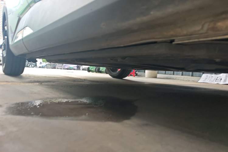 Used BYD Seagull 2023 Flying Edition Right Side Sill