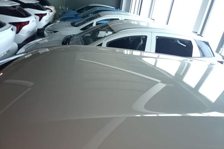 Used BYD Seagull 2023 Active Version Roof