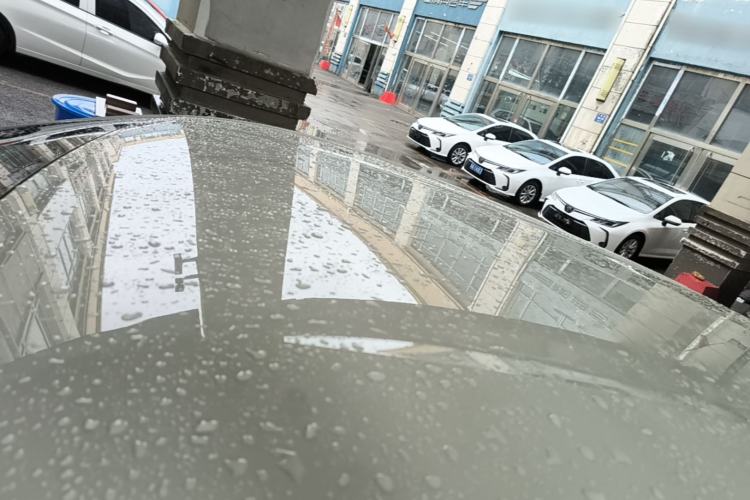 Used BYD Seagull 2023 Free Edition Roof
