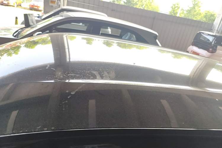 Used BYD Seagull 2023 Free Edition Roof