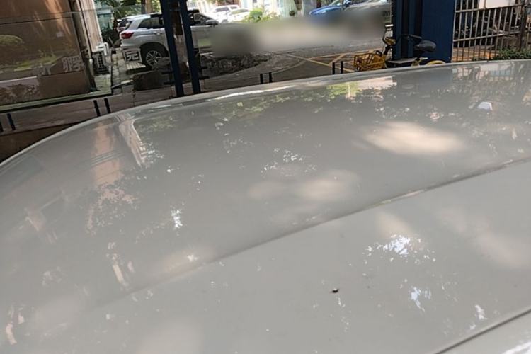 Used BYD Seagull 2023 Flying Edition Roof
