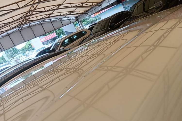 Used BYD Seagull 2023 Free Edition Roof