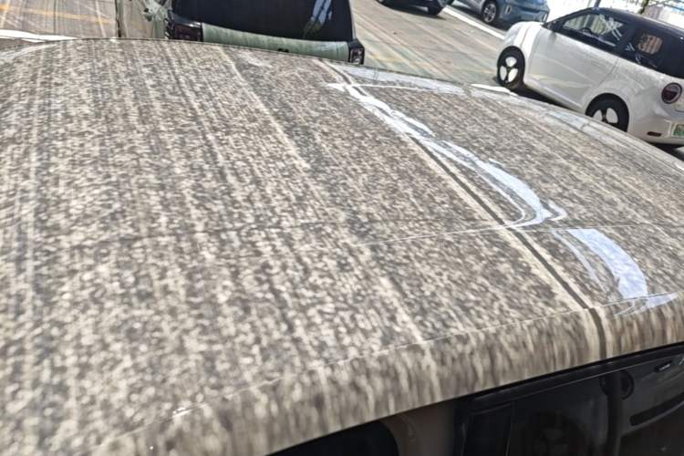 Used BYD Seagull 2023 Active Version Roof