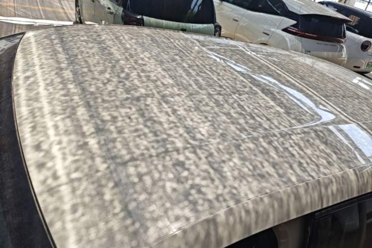 Used BYD Seagull 2023 Active Version Roof