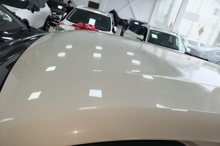 Used BYD Seagull 2023 Free Edition Roof