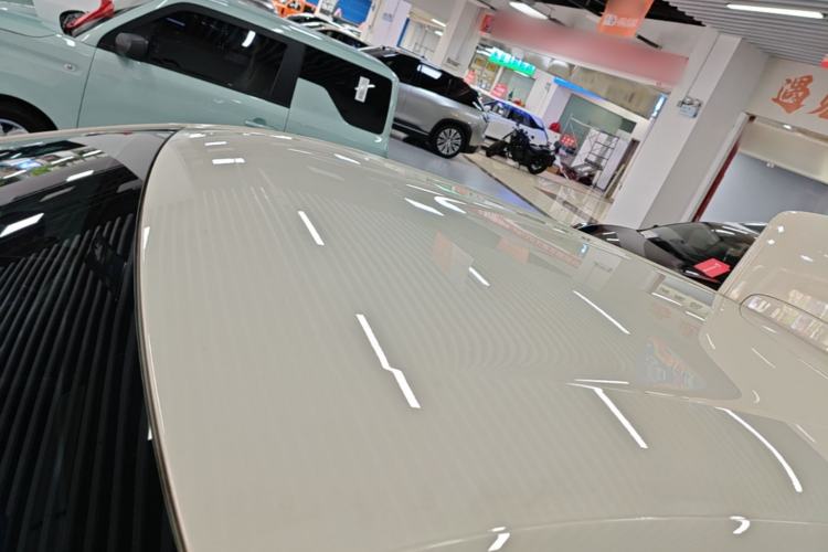 Used BYD Seagull 2023 Active Version Roof