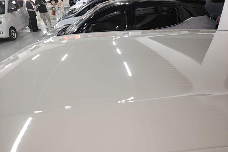 Used BYD Seagull 2023 Active Version Roof