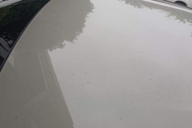 Used BYD Seagull 2023 Free Edition Roof