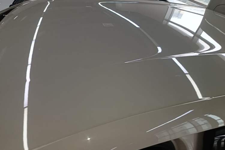 Used BYD Seagull 2023 Free Edition Roof