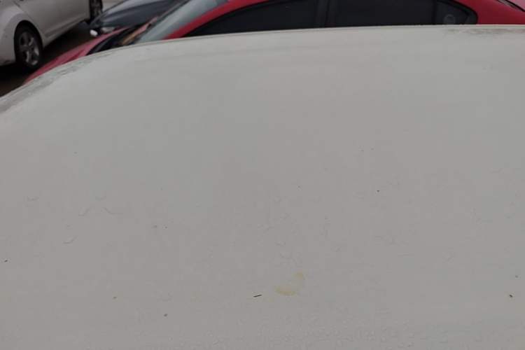Used BYD Seagull 2023 Free Edition Roof