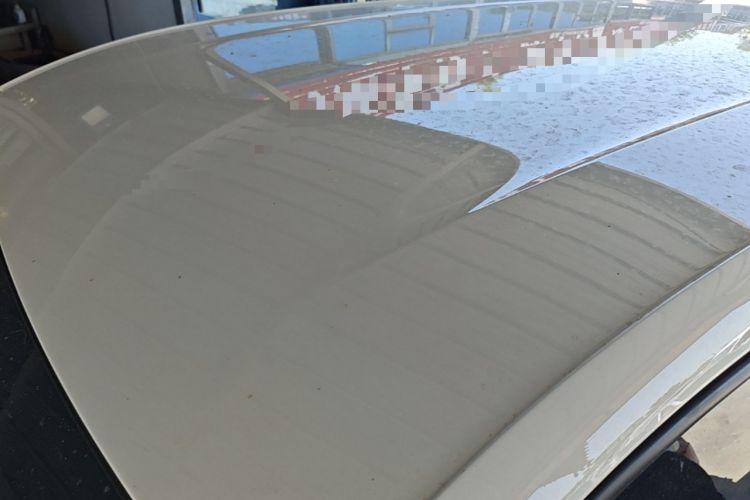 Used BYD Seagull 2023 Free Edition Roof