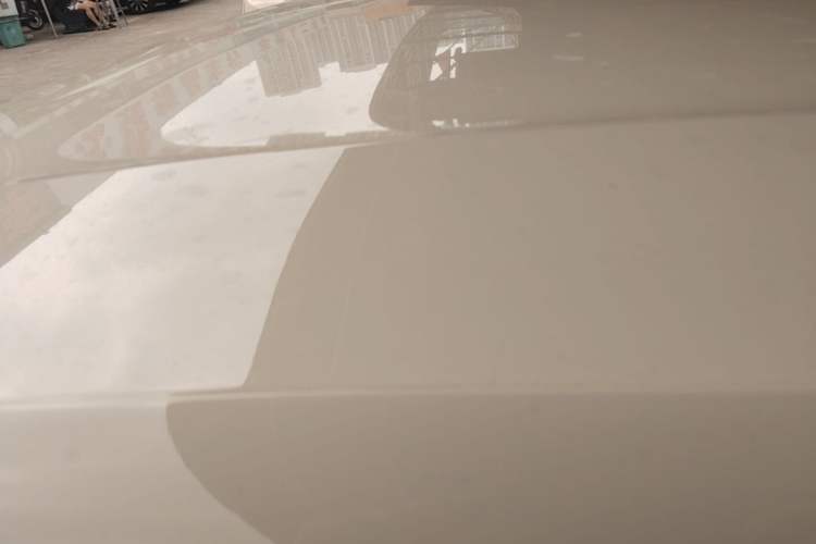 Used BYD Seagull 2023 Free Edition Roof