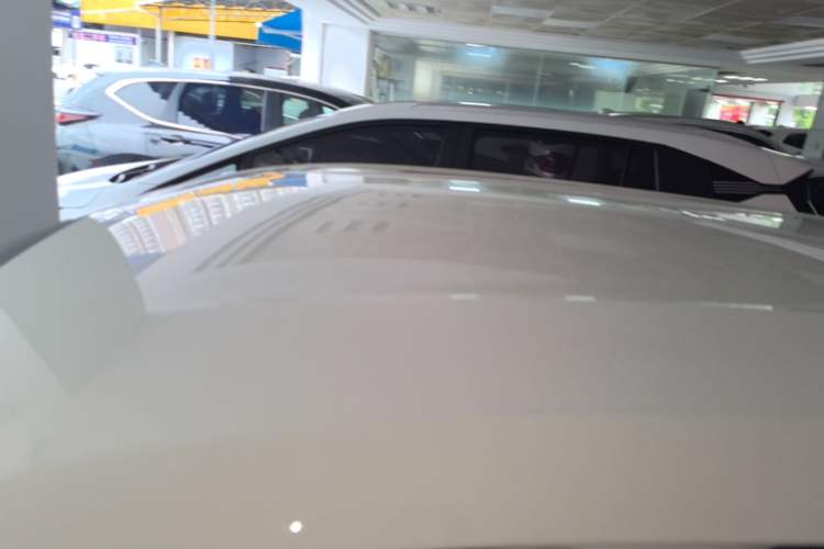 Used BYD Seagull 2023 Free Edition Roof
