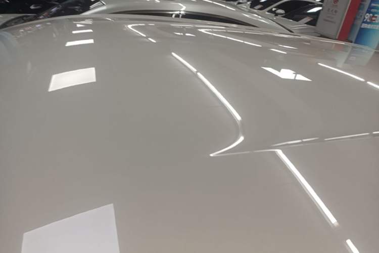 Used BYD Seagull 2023 Free Edition Roof
