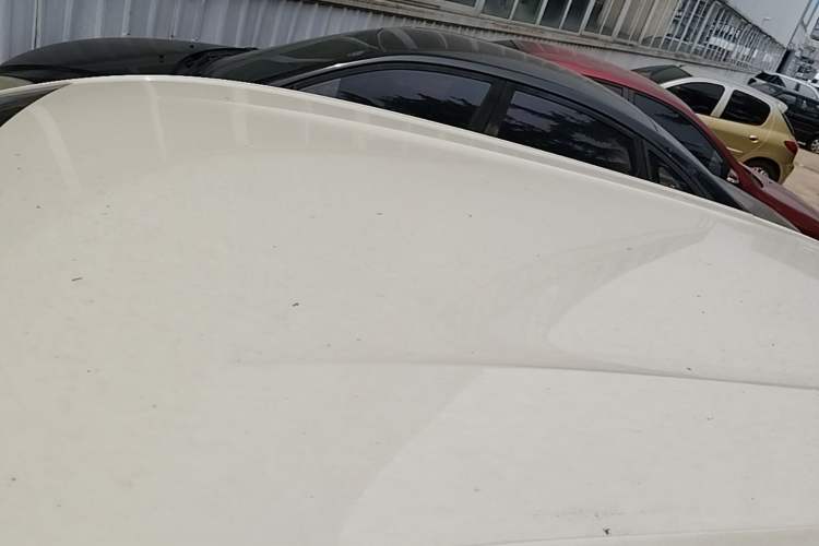 Used BYD Seagull 2023 Active Version Roof