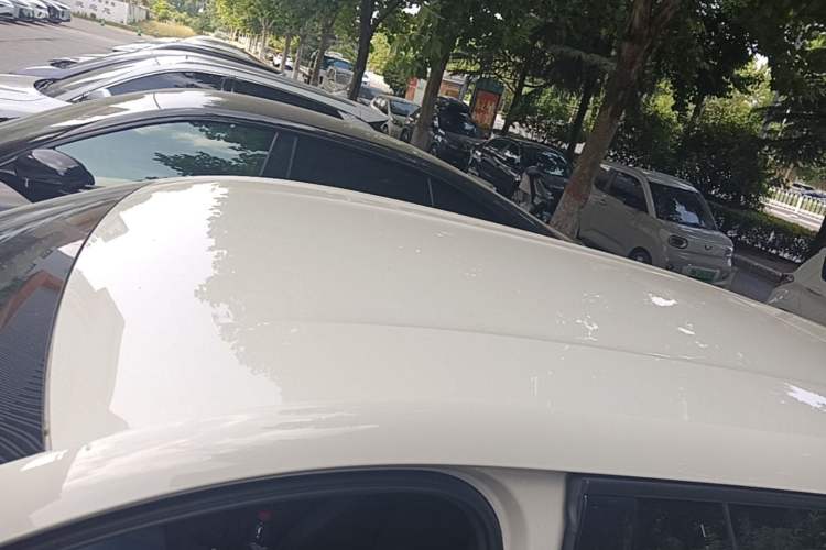 Used BYD Seagull 2023 Flying Edition Roof