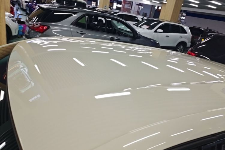 Used BYD Seagull 2023 Free Edition Roof