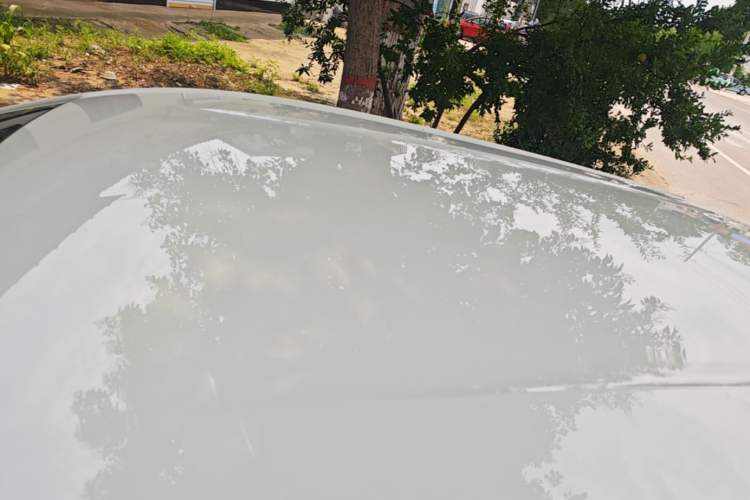 Used BYD Seagull 2023 Active Version Roof