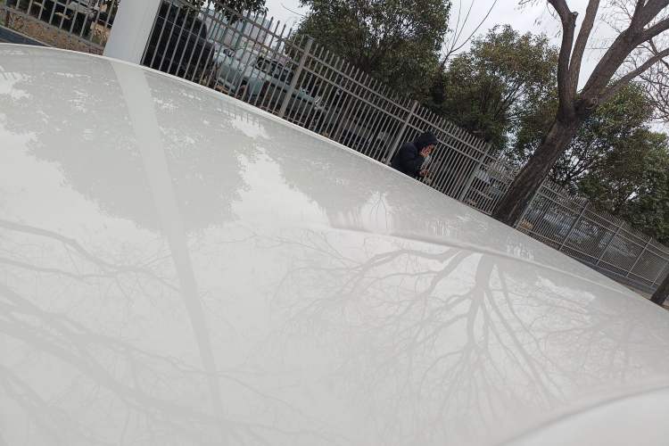 Used BYD Seagull 2023 Free Edition Roof