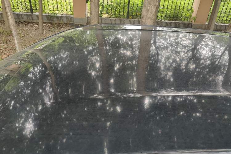 Used BYD Seagull 2023 Free Edition Roof