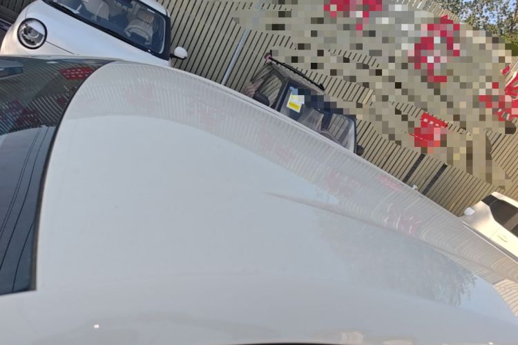 Used BYD Seagull 2023 Free Edition Roof