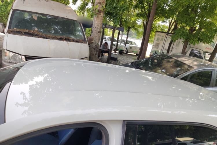 Used BYD Seagull 2023 Active Version Roof