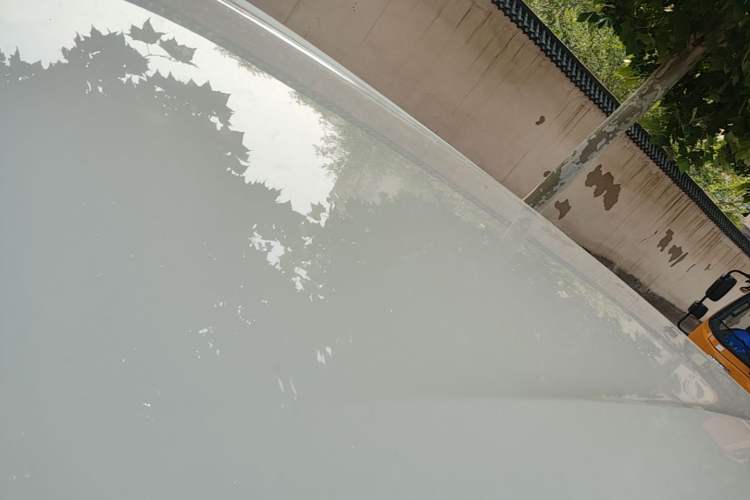 Used BYD Seagull 2023 Free Edition Roof