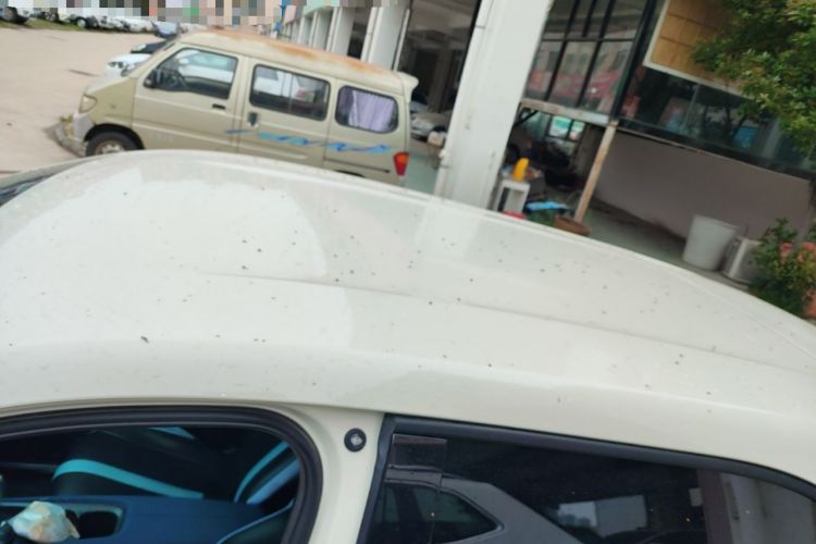 Used BYD Seagull 2023 Free Edition Roof