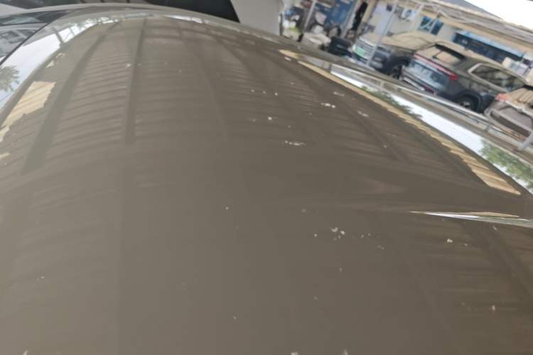 Used BYD Seagull 2023 Free Edition Roof