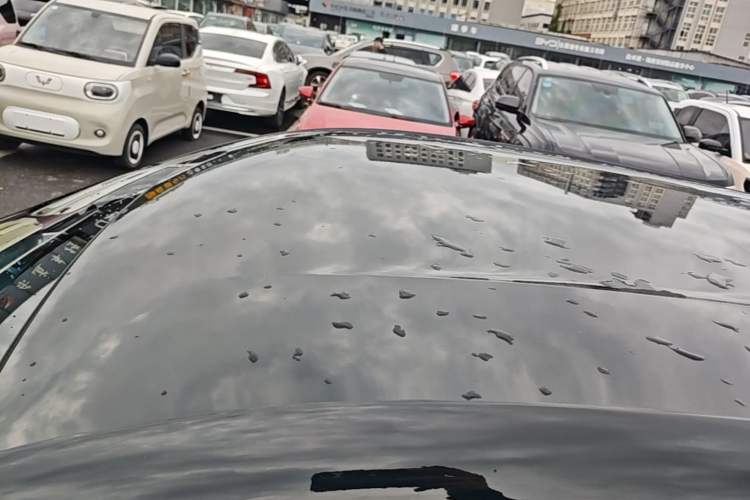 Used BYD Seagull 2023 Free Edition Roof