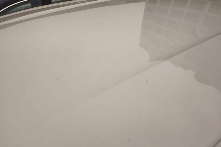Used BYD Seagull 2023 Flying Edition Roof