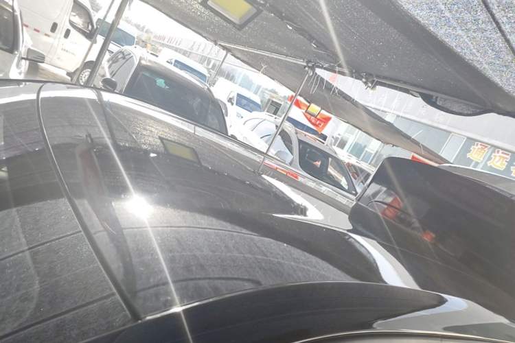 Used BYD Seagull 2023 Free Edition Roof