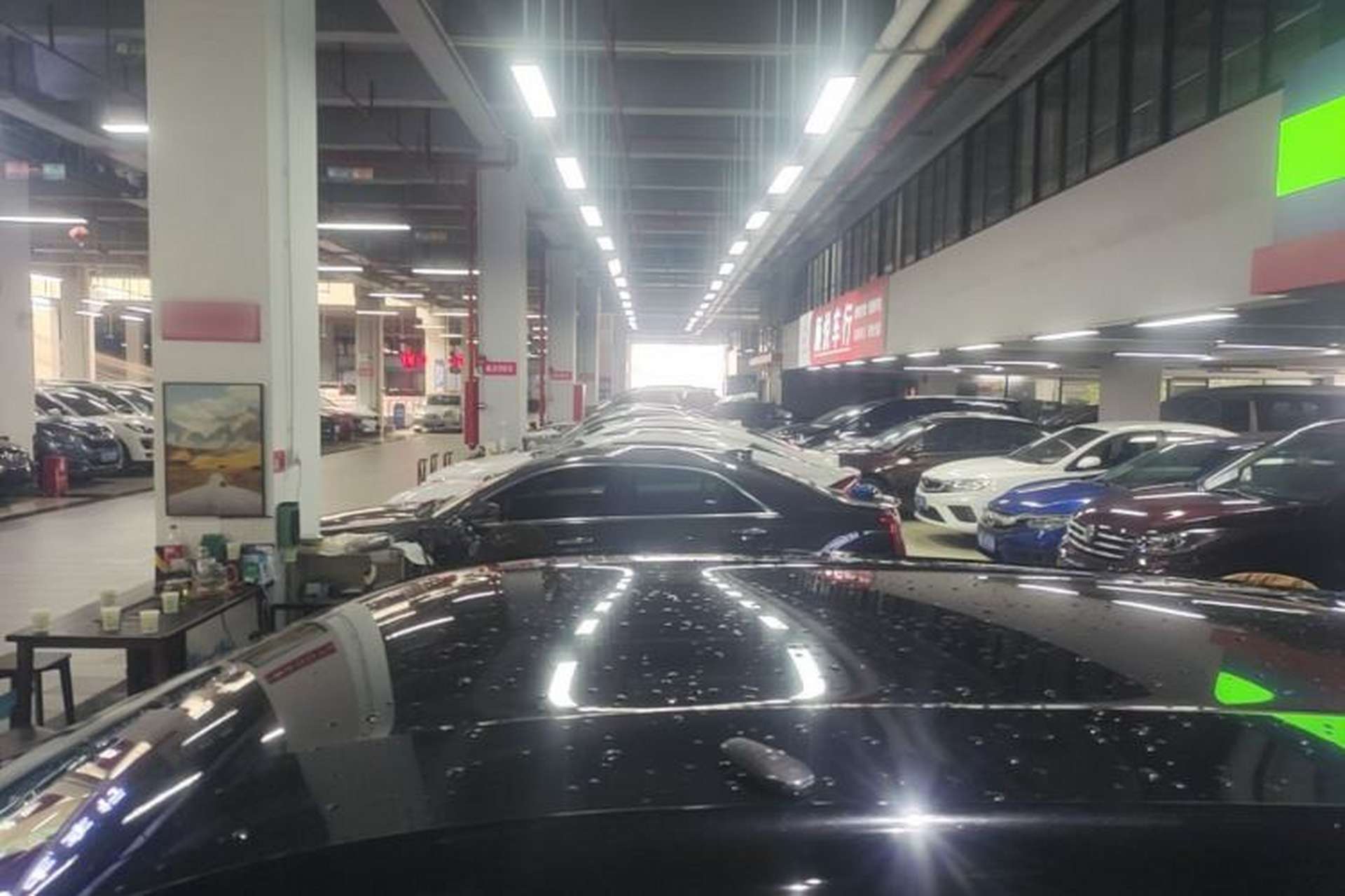 Used BYD Seagull 2023 Flying Edition Roof