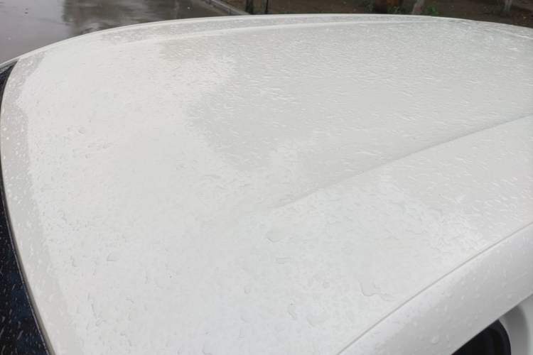 Used BYD Seagull 2023 Free Edition Roof
