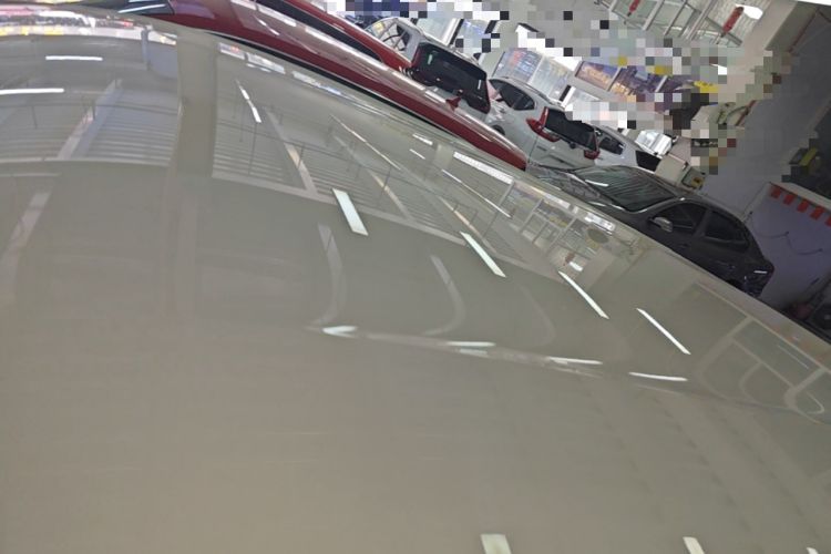 Used BYD Seagull 2023 Flying Edition Roof
