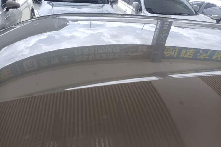Used BYD Seagull 2023 Free Edition Roof