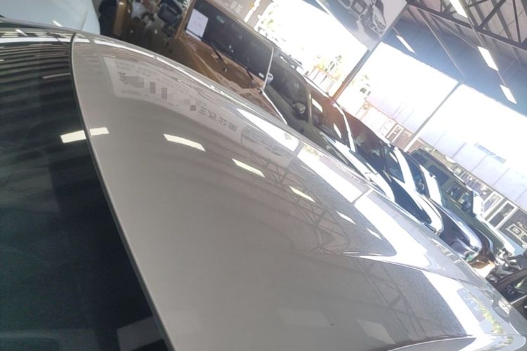 Used BYD Seagull 2023 Active Version Roof