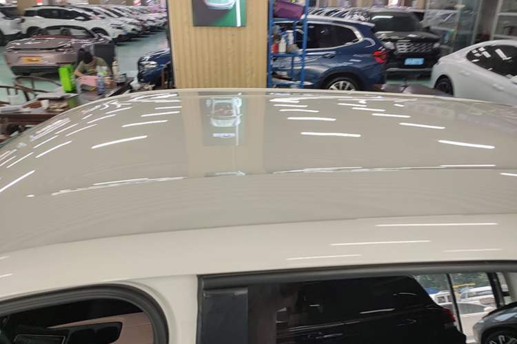 Used BYD Seagull 2023 Free Edition Roof